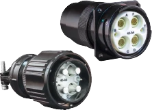 Reference image for 921 power. Family reference image